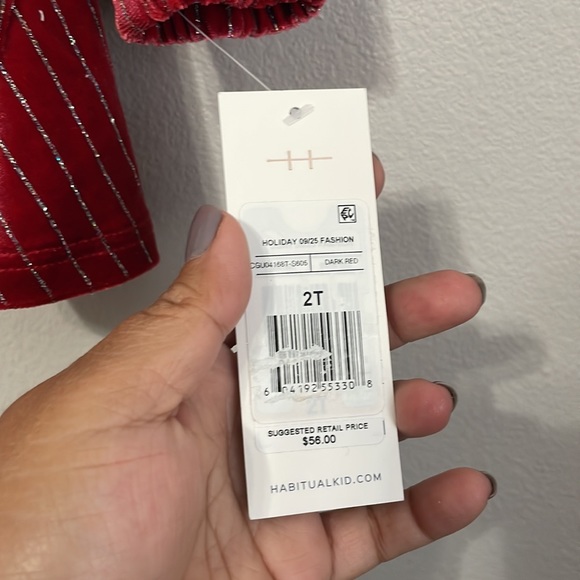 Habitual Dark Red Holiday Dress Size 2T - Picture 4 of 4